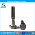 Jiaxing Stainless Steel 309 Fine Thread Hex Cap Screw